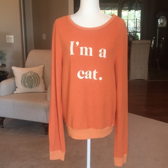 Wildfox Guess What I Am Baggy Beach Jumper - Picture 4 of 8